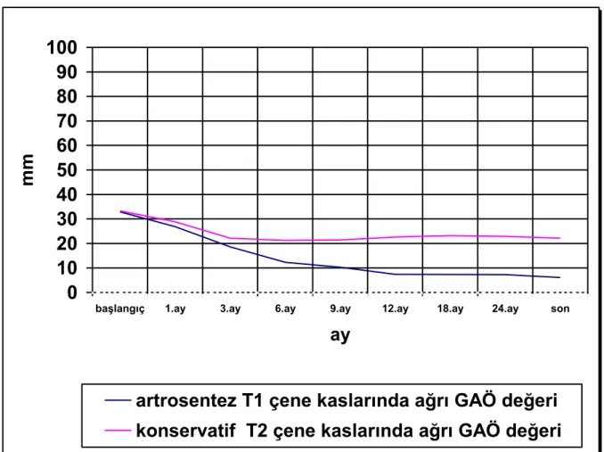 Grafik 4.18.  ÇKA GAÖ  değeri ortalamalarının tedavi gruplarında aylara göre değişimi 