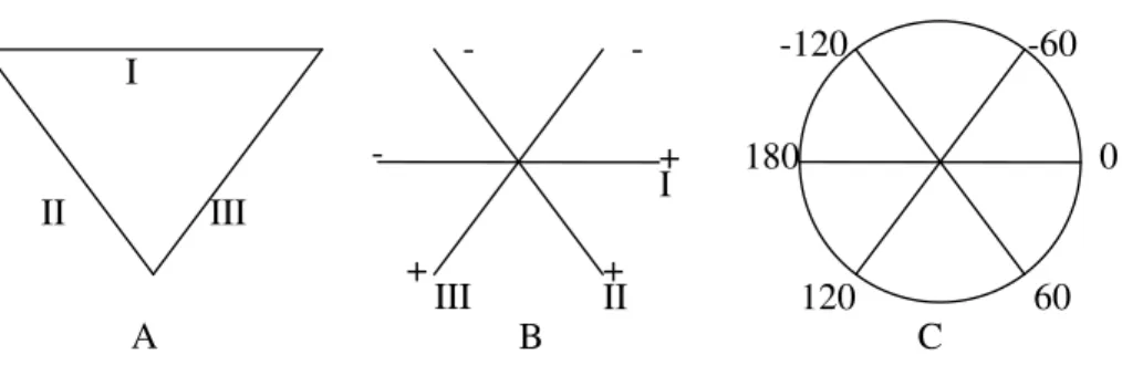 Şekil  3.11  A-Einthoven  üçgeni  B-Eksenlerin  kaydırılması  C-  60°°°°’lik  açılarla  üç  eksenli  referans sistemi 