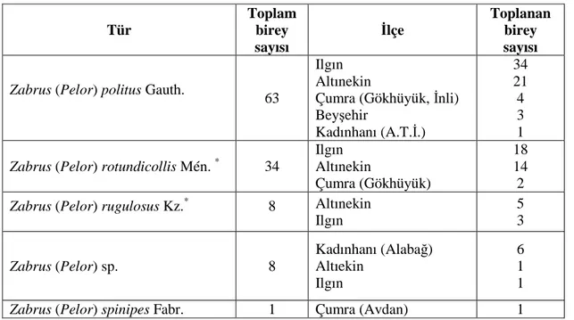 Çizelge 4.1. Konya ilinde 2005-2006 yıllarında buğday ekim alanlarında tespit edilen Zabrus spp