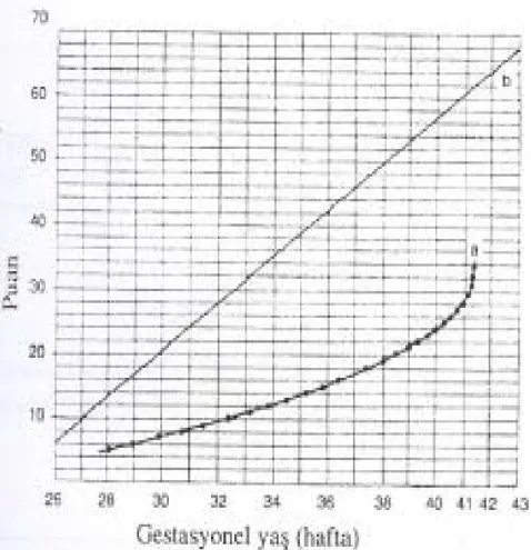 Şekil 2 : Dubowitz değerlendirmesinde gebelik yaşının hesaplanmasında kullanılan  grafik