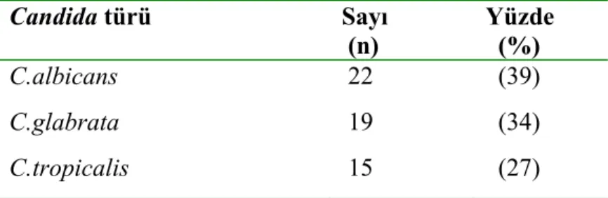 Tablo 10: Türlere göre amfoterisin B MİK (µg/ml) dağılımı 