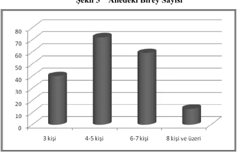 Şekil 5   Ailedeki Birey Sayısı 