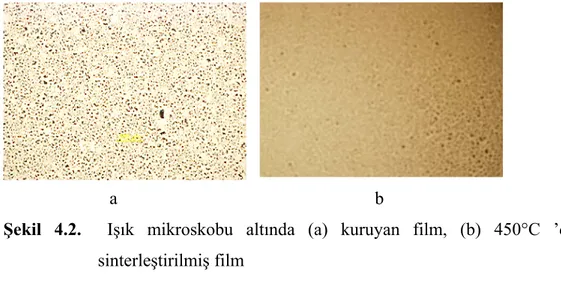 Şekil 4.2.    Işık mikroskobu altında (a) kuruyan film, (b) 450°C ’de  sinterleştirilmiş film 