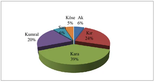 Grafik 2: Çamardı Kaza Merkezi ve Köylerindeki Sakal Özelliği  2. Şahıs İsimleri