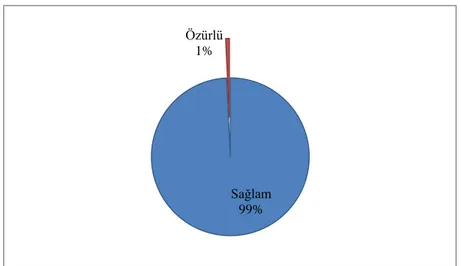 Grafik 9:  Gayrimüslim Reaya Özür Grubunun Kendi İçindeki Dağılımı 