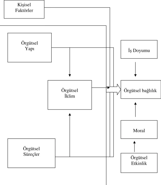 Şekil 3. Örgütsel Bağlılığı Etkileyen Faktörler Kişisel Faktörler Örgütsel Yapı Örgütsel İklim Örgütsel Süreçler  İş Doyumu  Örgütsel bağlılık Moral Örgütsel Etkinlik 