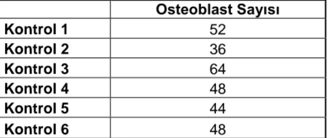 Çizelge  0.1  Kontrol grubu rejenerat bölgesi alanındaki osteoblast sayılarının dağılımı 