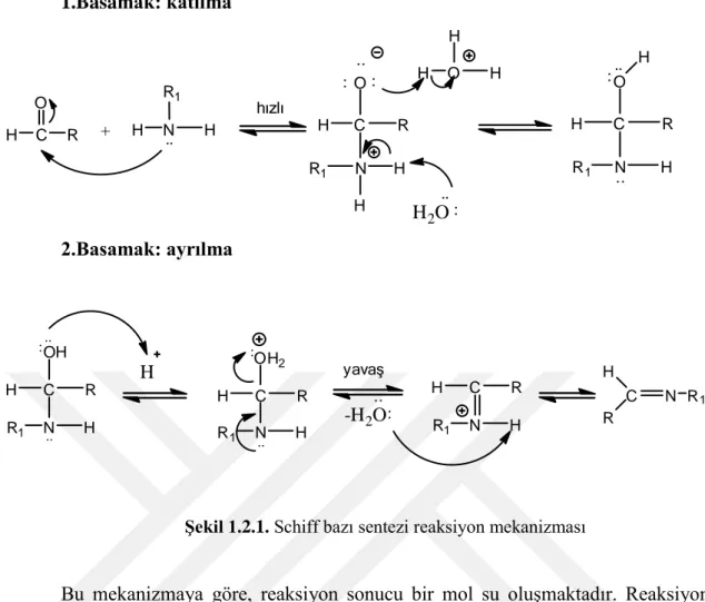 Şekil 1.2.1. Schiff bazı sentezi reaksiyon mekanizması 