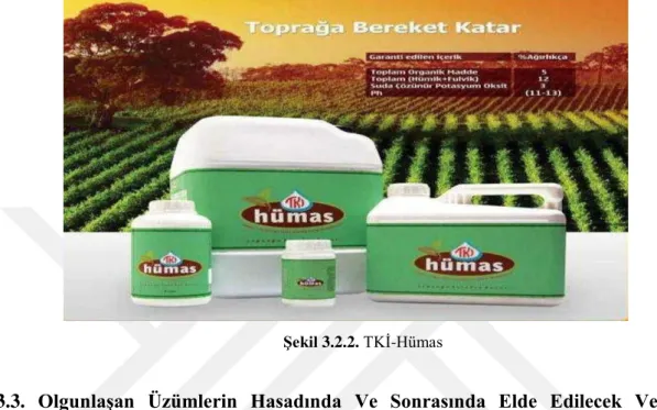 Şekil 3.2.2. TKİ-Hümas 