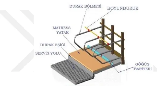 Şekil 1.2. Serbest durak unsurları (Graves ve ark., 2009) 