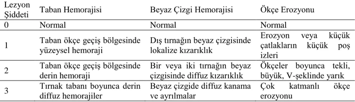 Çizelge 2.1: Tırnak lezyonlarının skorlanmasında kullanılan kriterler (Burgi ve Cook 2006)  Lezyon 