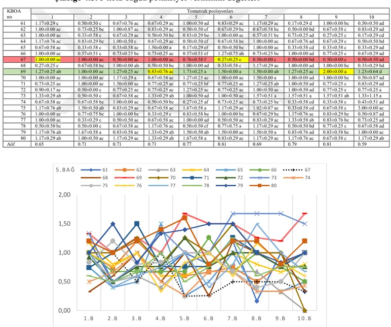 Çizelge 4.5. 5 nolu bağda potansiyel verimlilik değerleri 