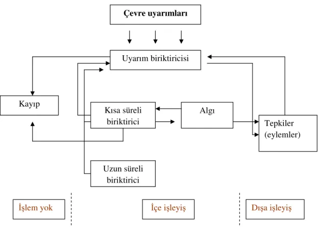 Şekil 1: Gerçek algılamanın oluşumu ( Baysal, Tekarsan 1999; 49) 