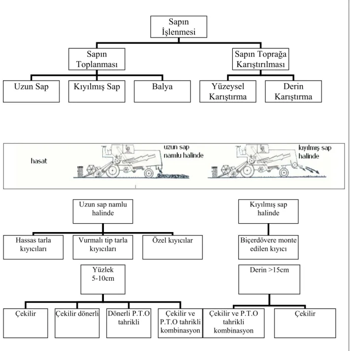 Şekil 1.1. Sapın işlenme yöntemleri ve sapı toprağa karıştırıcı makine tipleri (Wenner 1986)