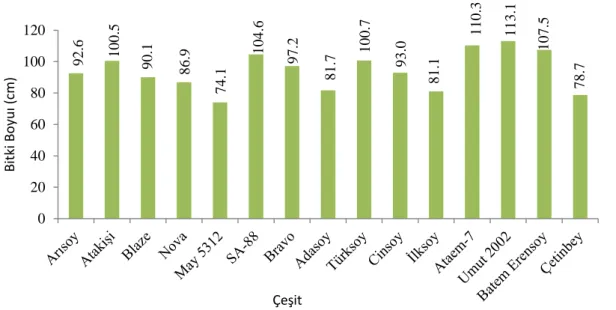 Şekil 4.3.1.Soya fasulyesi çeşitlerinde tespit edilen bitki boyu (cm) 