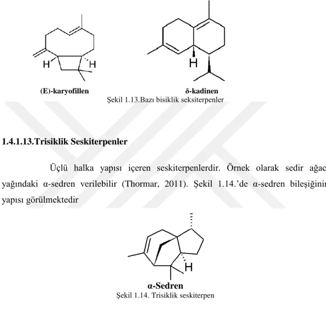 Şekil 1.14. Trisiklik seskiterpen 