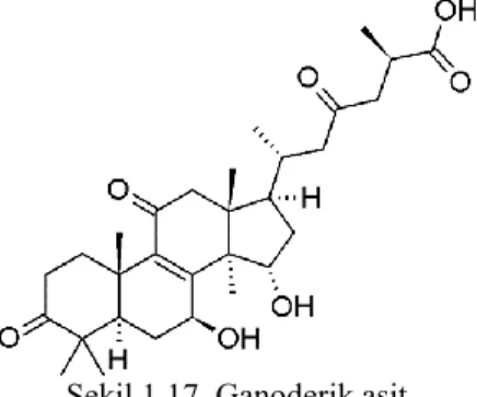 Şekil 1.17. Ganoderik asit 