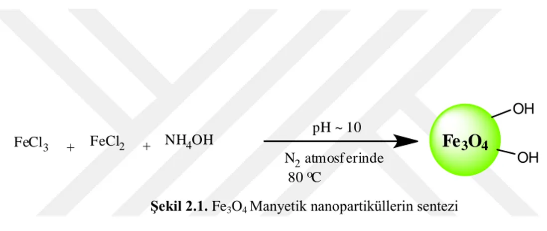 Şekil 2.1. Fe 3 O 4  Manyetik nanopartiküllerin sentezi 
