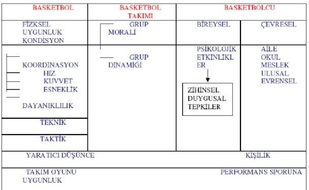 Tablo 2.2 Basketbolda Performansın Boyutları 