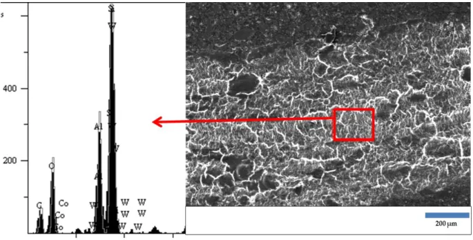Figure 6. SEM-EDX analysis of worn E5P5 sample surface 