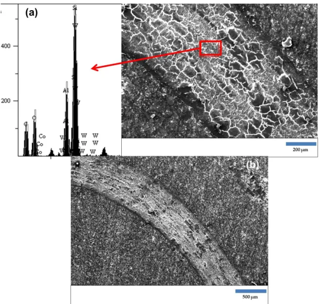 Figure 10. (a) SEM-EDX analysis of worn E4P6V surface and (b) FEG-SEM image of wear scar of E4P6V  CONCLUSION 