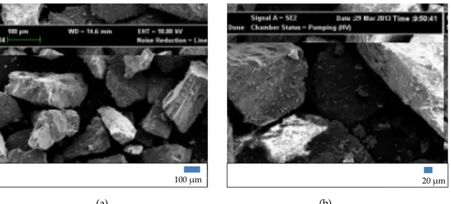 Figure 2. Representative FEG-SEM images of porcelain waste particles (a) 200x, (b) 500x magnifications 