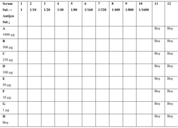 Çizelge 2.2.8. ELISA testinin standardize edilmesi. 