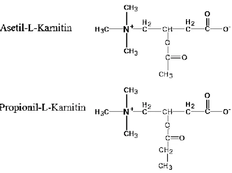 ġekil 1.2. L-karnitinin diğer kimyasal formları (TaĢbozan 2005). 