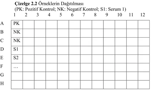 Çizelge 2.2 Örneklerin Dağıtılması  