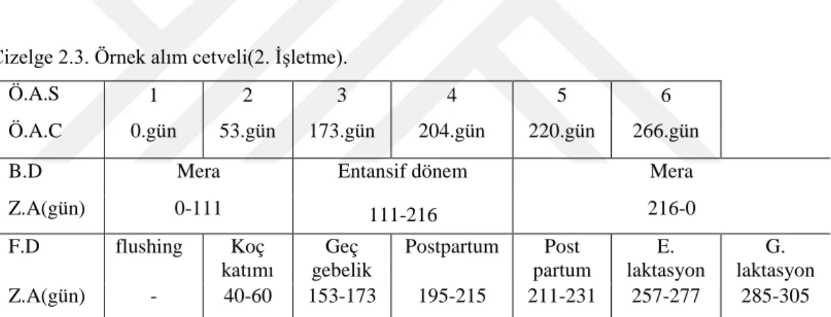 Çizelge 2.3. Örnek alım cetveli(2. İşletme). 