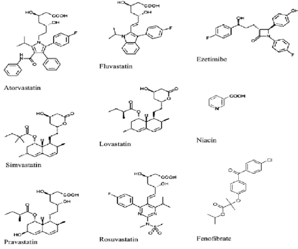 ġekil  1.2.  Hepatotoksisitesi  bilinen,  sık  olarak  reçetelenen  hipolipidemik  ilaçların  kimyasal yapıları