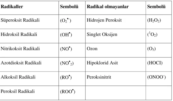 Tablo 2. Reaktif Oksijen Türleri  