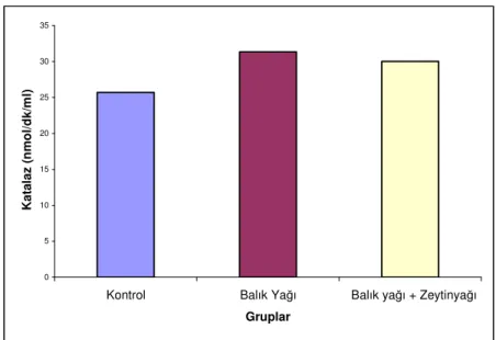 Şekil 3. Gruplara göre plazma CAT değişimleri 