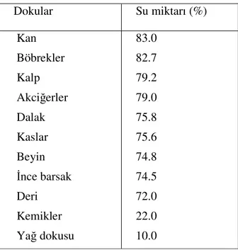 Tablo 2.1.  İnsan Vücudundaki Doku ve Organların Su Bileşimi 