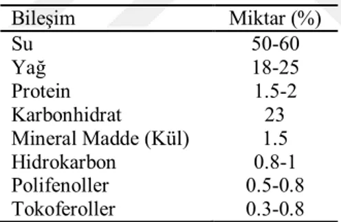 Çizelge 1.3. Zeytin tanesinin ortalama bileşimi (Kristakis, 1998; Yılmaz Çevik, 2015) 