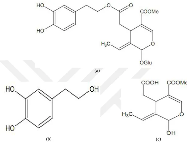 Şekil  1.2’  de  oleuropein,  hidroksitirosol  ve  elonoik  asitin  kimyasal  yapısı  gösterilmiştir