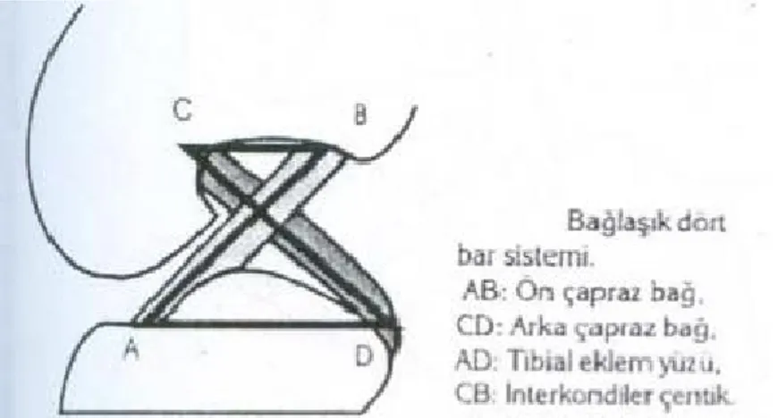 Şekil 1.17. Bağlaşık dört bar sistemi (Tandoğan ve Alparslan 1999)