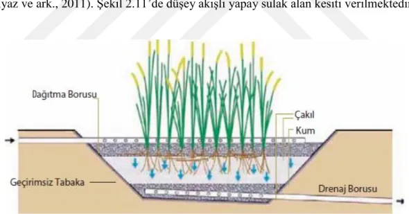 Şekil 2.11. Düşey Akışlı Yapay Sulak Alan Kesiti (Godfrey, 2007)