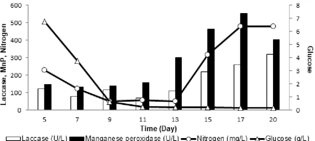 Figure 4. Time course lignin-modifying enzyme activity of Pleurotus ostreatus and Lentinus tigrinus co- co-culture