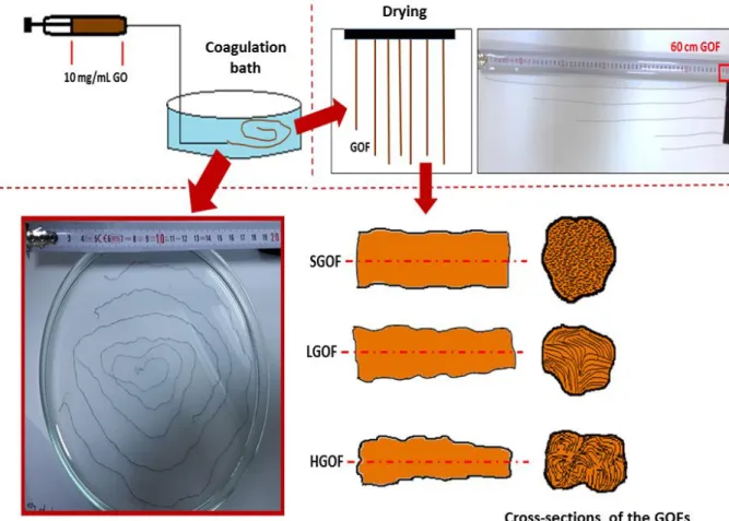 Figure 5. Schematic representation of the effect of GO flake size on fiber morphology in GOFs 