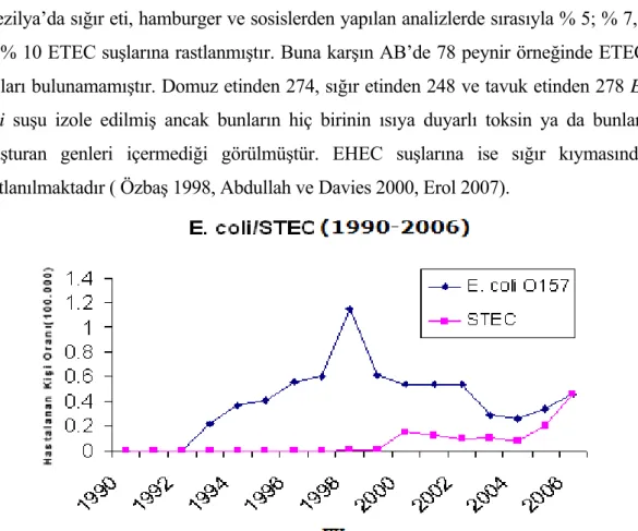Şekil 1.3 . Dünya da  yılara göre E. coli O157:H7 serotipi izole edilen kişilerin oranları (100.000)