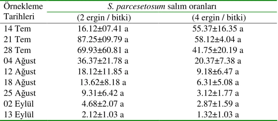 Çizelge  4.2.  Adana  (Enstitü)’da  2004  yılında  serada  yürütülen  I.  denemede           Serangium  parcesetosum’un  farklı  oranlarda  salındığı    parsellerdeki  Bemisia tabaci populasyon dalgalanması (ortalama larva + pupa / 25 cm²  yaprak)* 