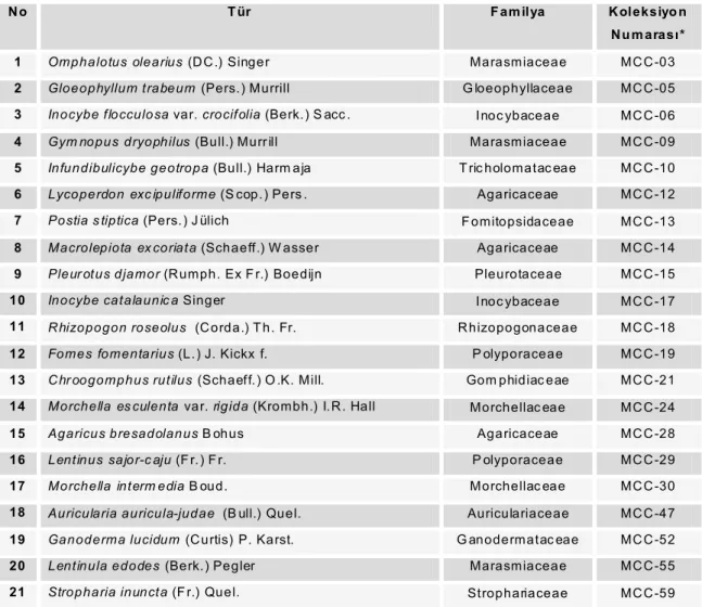 Tablo 1. Çalışmada kullanılan makrofungus türlerinin isimleri, familyaları ve koleksiyon numaraları