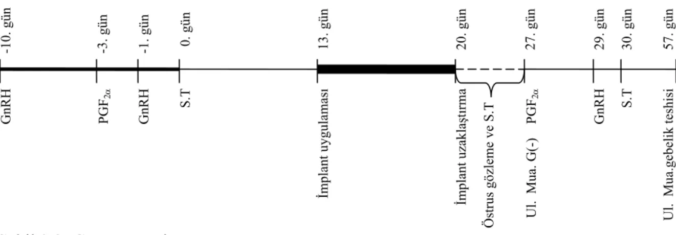 Şekil 3.2: Grup I uygulama şeması. 
