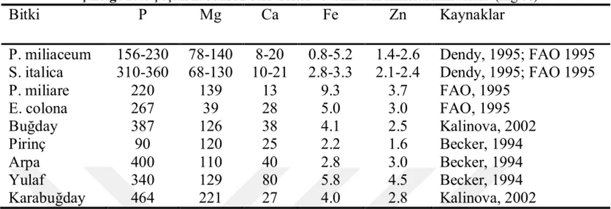 Çizelge 2.4. Çeşitli kabuksuz darı türleri ve tahılların mineral miktarları  (mg %) 