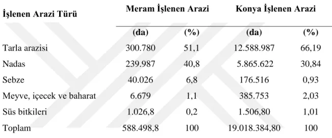 Çizelge 3.3. Meram işlenen arazi kullanım durum tablosu (TÜİK, 2013)