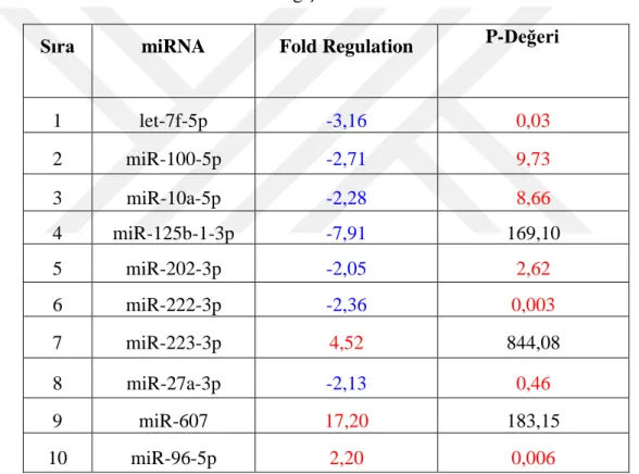 Çizelge 3.9. Kontrol grubu hücreler ile TGF- β uygulamasını takiben 24. Saatteki miRNA  değişiklikleri 