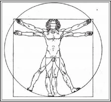 Şekil 4. Leonardo da Vinci’ye göre vücut oranlaması 