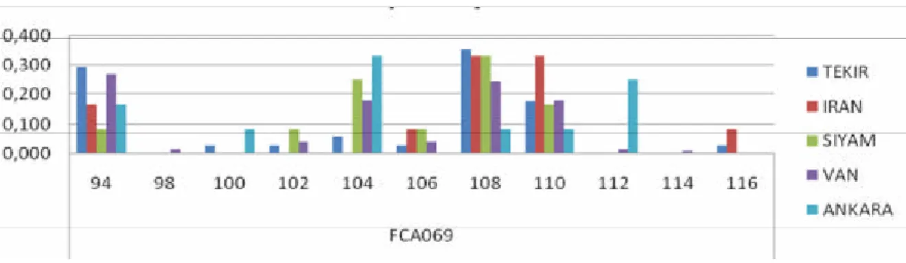 Grafik  5: FCA075 mikrosatellit lokusu açisindan populasyonlar arasinda allel  görülme sikliklari      