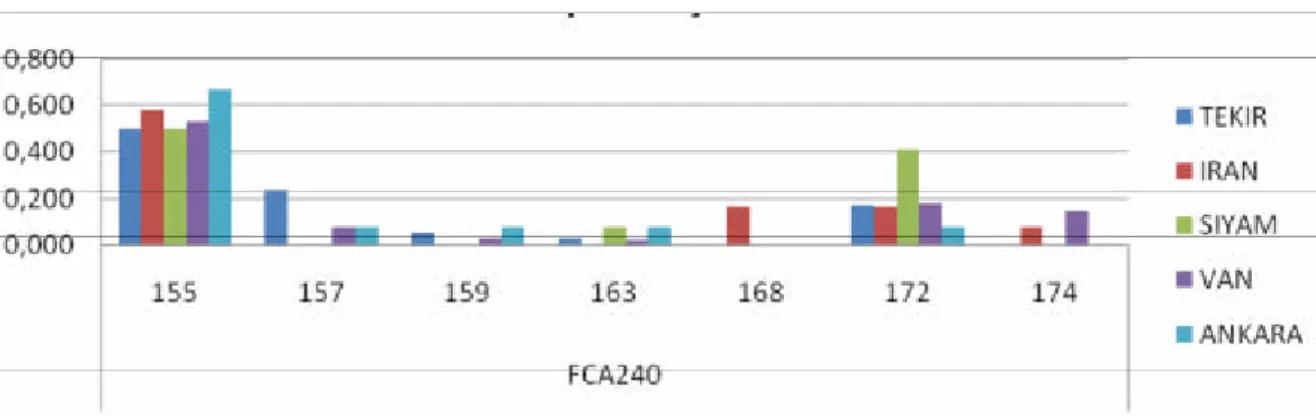Grafik  11: FCA310 mikrosatellit lokusu açisindan populasyonlar arasinda allel  görülme sikliklari 